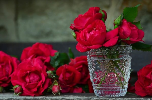 Roses  : symboles d'amour et de passion pour une décoration authentiquement romantique