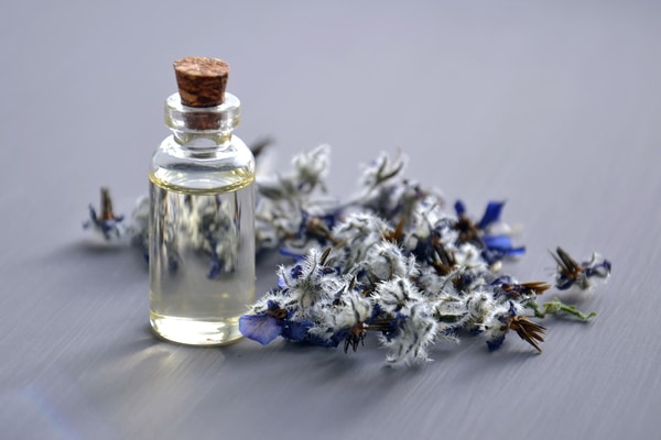 L'art de la fleur dans la parfumerie  : une introduction à l’impact olfactif
